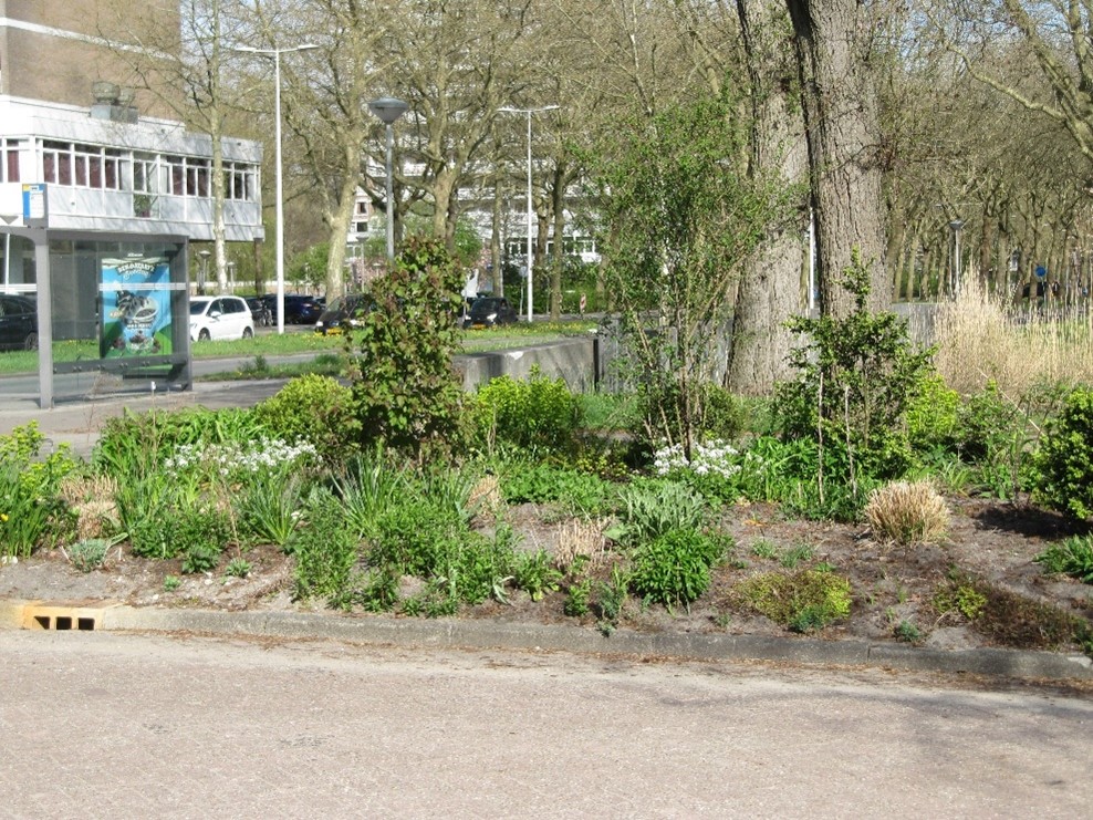 Rechtdoor tot de Van Boechorststraat