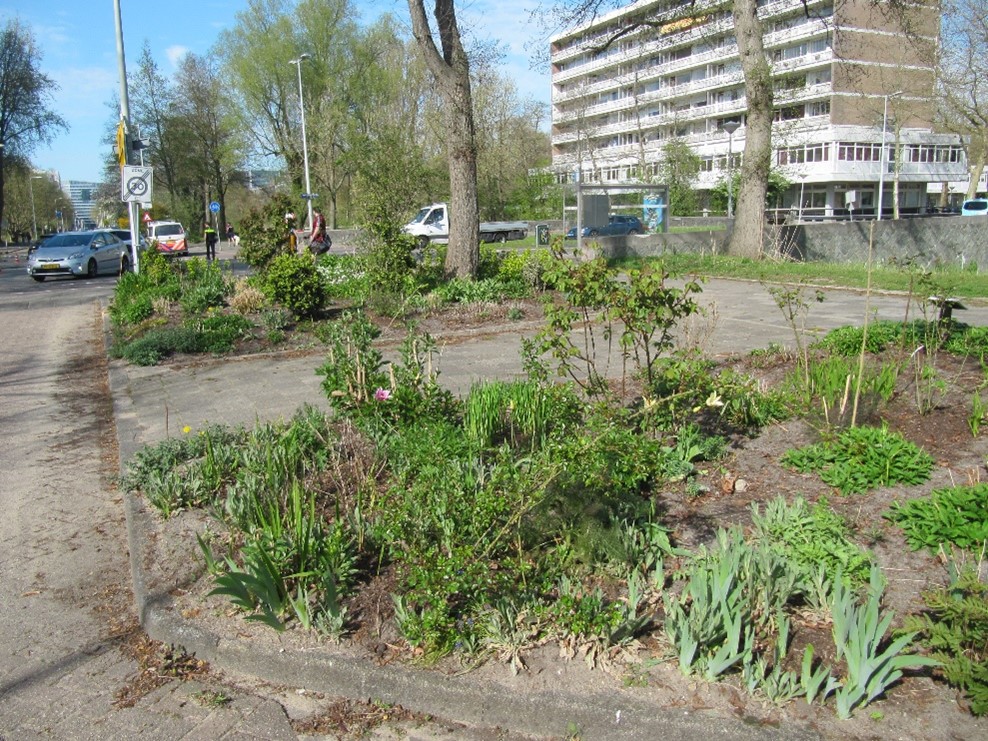 Naar de Van Nijenrodeweg 