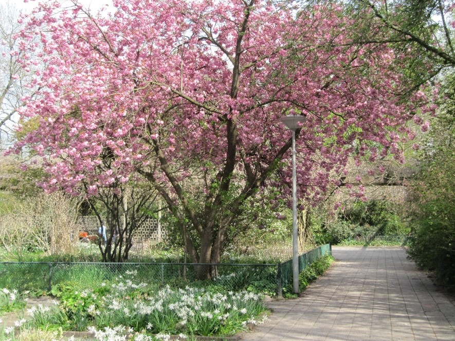 Rechtdoor naar patio